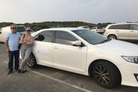 Full-Day Private Australian Wildlife Tour Of Phillip Island - Accommodation VIC 1