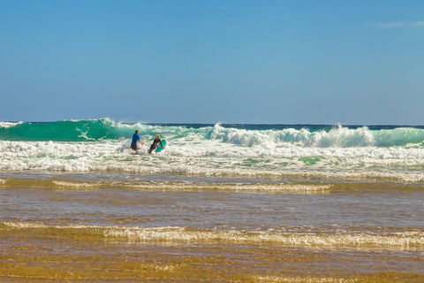 Full-Day Private Australian Wildlife Tour Of Phillip Island - Accommodation VIC 3
