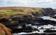 Full-Day Private Australian Wildlife Tour Of Phillip Island - thumb 4