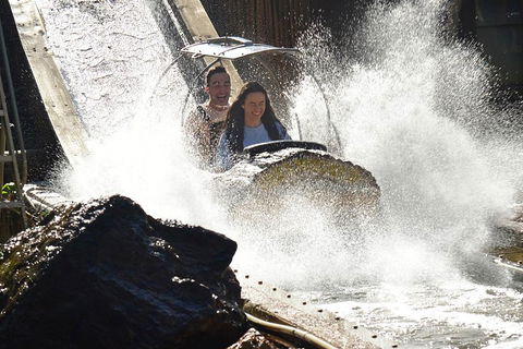 Theme Park Transfer From Brisbane - Accommodation VIC 1