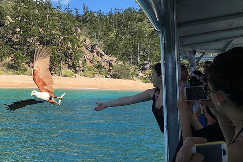 Aquascene Magnetic Island Discovery Tour - Accommodation VIC 2