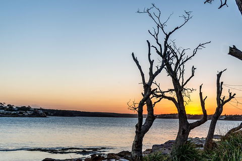Much More To See Of Sydney Private Tour - Accommodation VIC 5