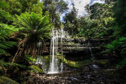 3-Day Tour To The Falls, Mountains, Lake & More Of West Coast Tasmania - Accommodation VIC 4