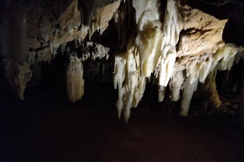 The Pinnacle Adventure Tour - Accommodation VIC 0