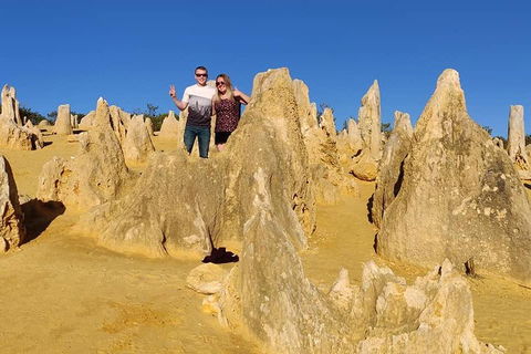 The Pinnacle Adventure Tour - Accommodation VIC 4