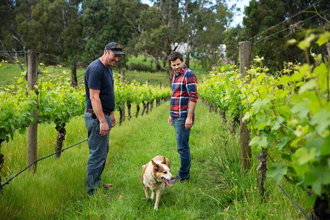 LGBT+ Friendly Full Day Yarra Valley & Dandenong Ranges Private Tour - Accommodation VIC 4