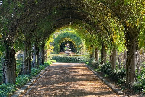 LGBT+ Friendly Full Day Yarra Valley & Dandenong Ranges Private Tour - Accommodation VIC 5