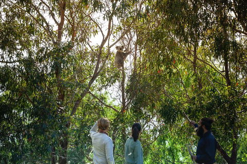 LGBT+ Friendly 3 Day Tour The Grampians, Daylesford & Ballarat - Accommodation VIC 4
