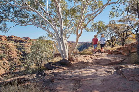 3-Day Tour From Uluru (Ayers Rock) To Alice Springs Via Kings Canyon - Accommodation VIC 1