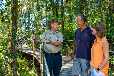 Kuranda Scenic Railway Day Trip From Cairns - Accommodation VIC 1