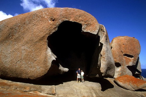 Full-Day Kangaroo Island Safari From Penneshaw - Accommodation VIC 0