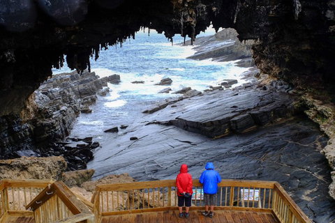 Full-Day Kangaroo Island Safari From Penneshaw - Accommodation VIC 1