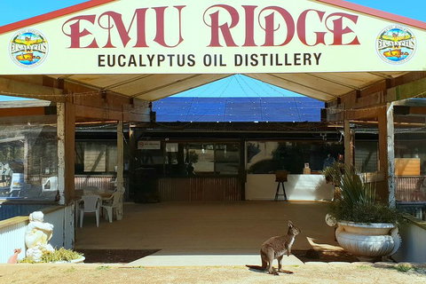 Full-Day Kangaroo Island Safari From Penneshaw - Accommodation VIC 2