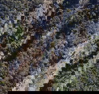 Leven Canyon Day Trip Including Wings Wildlife Park or Gunns Plains Caves - Accommodation VIC
