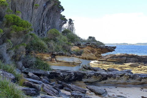 Day Trip To Cronulla & The Royal National Park - Accommodation VIC 4