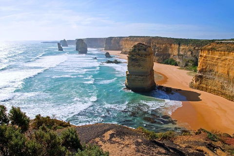 Great Ocean Road Small-Group Ecotour From Melbourne - Accommodation VIC 2