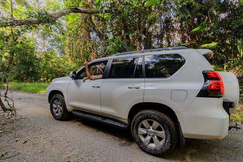 Full Day Cooktown Private Tour - Accommodation VIC 3