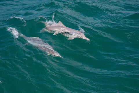 North Stradbroke Island Private Tour With Pickup - Accommodation VIC 0