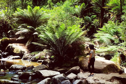 Private Yarra Valley & Dandenong Ranges Hiking Tour From Melbourne - Accommodation VIC 2