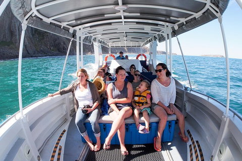 Seal Island Boat Tour From Victor Harbor - Accommodation VIC 1