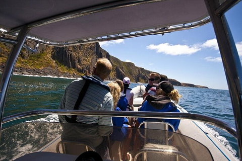 Seal Island Boat Tour From Victor Harbor - Accommodation VIC 2
