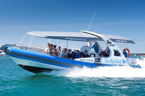 Seal Island Boat Tour From Victor Harbor - Accommodation VIC 3