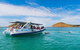Southern Ocean Adventure From Victor Harbor - thumb 1