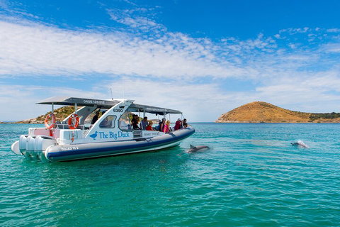 Southern Ocean Adventure From Victor Harbor - Accommodation VIC 1