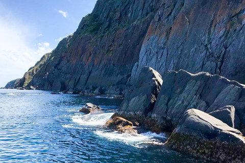 Southern Ocean Adventure From Victor Harbor - Accommodation VIC 3