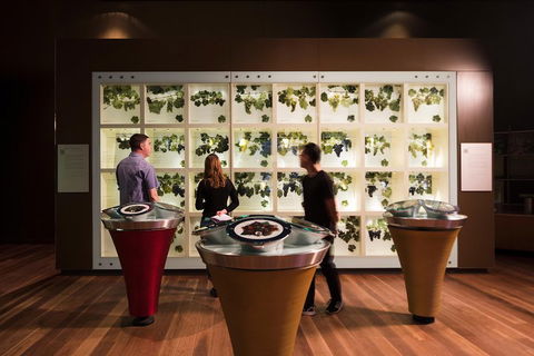 Australian Wine Discovery Tour Ticket - Accommodation VIC 3