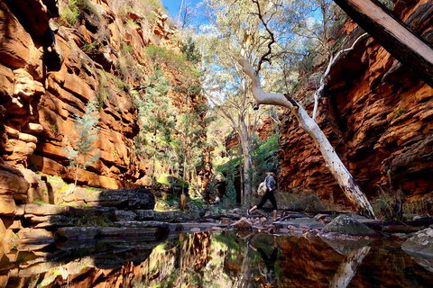 10-Day Adelaide To Perth Adventure Tour - Accommodation VIC 5