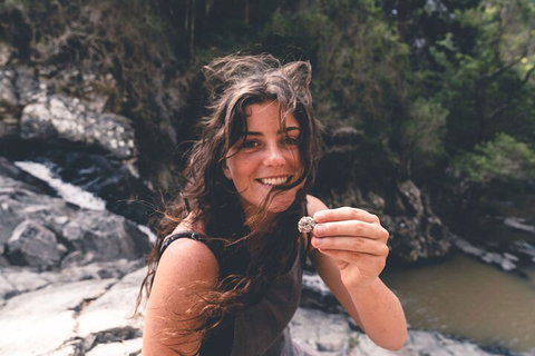 Springbrook AndTamborine Rainforest Tour Incl Natural Bridge And Glow Worm Cave - Accommodation VIC 1