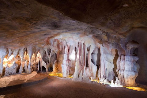 Springbrook AndTamborine Rainforest Tour Incl Natural Bridge And Glow Worm Cave - Accommodation VIC 4