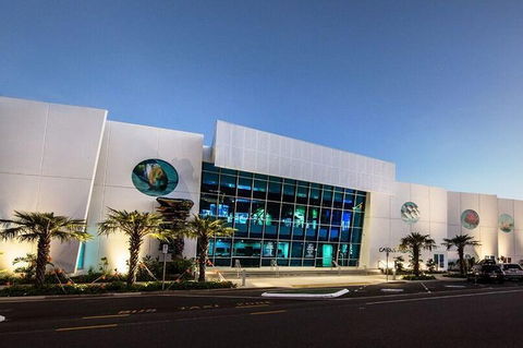 Cairns Aquarium Admission Ticket - Accommodation VIC 4