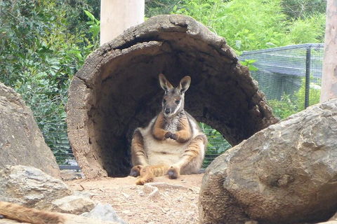 Featherdale Wildlife Park General Admission - Accommodation VIC 2