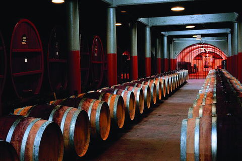 Penfolds Magill Estate Iconic Experience - Accommodation VIC 4