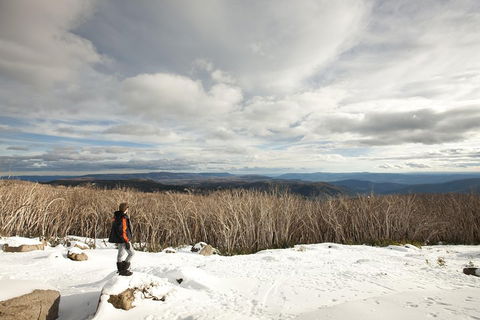 Lake Mountain Snow Trip Including Yarra Valley Chocolaterie From Melbourne - Accommodation VIC 5