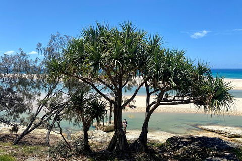 Full-Day Small Group Tour To North Stradbroke Island - Accommodation VIC 5