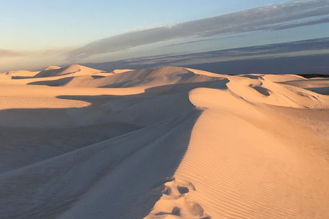 Pinnacles Desert Private Tour - Accommodation VIC 1