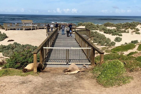 Kangaroo Island 4WD Tour - Best Of KI - Accommodation VIC 2
