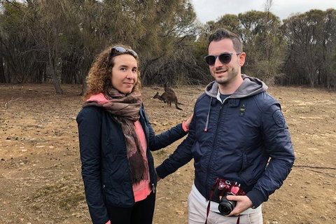 Kangaroo Island 4WD Tour - Best Of KI - Accommodation VIC 3