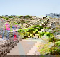 Margaret River Coastal and Wildlife Eco Trip from Busselton or Dunsborough - Accommodation VIC